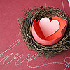 Turn Your Bedroom Into A Love Nest